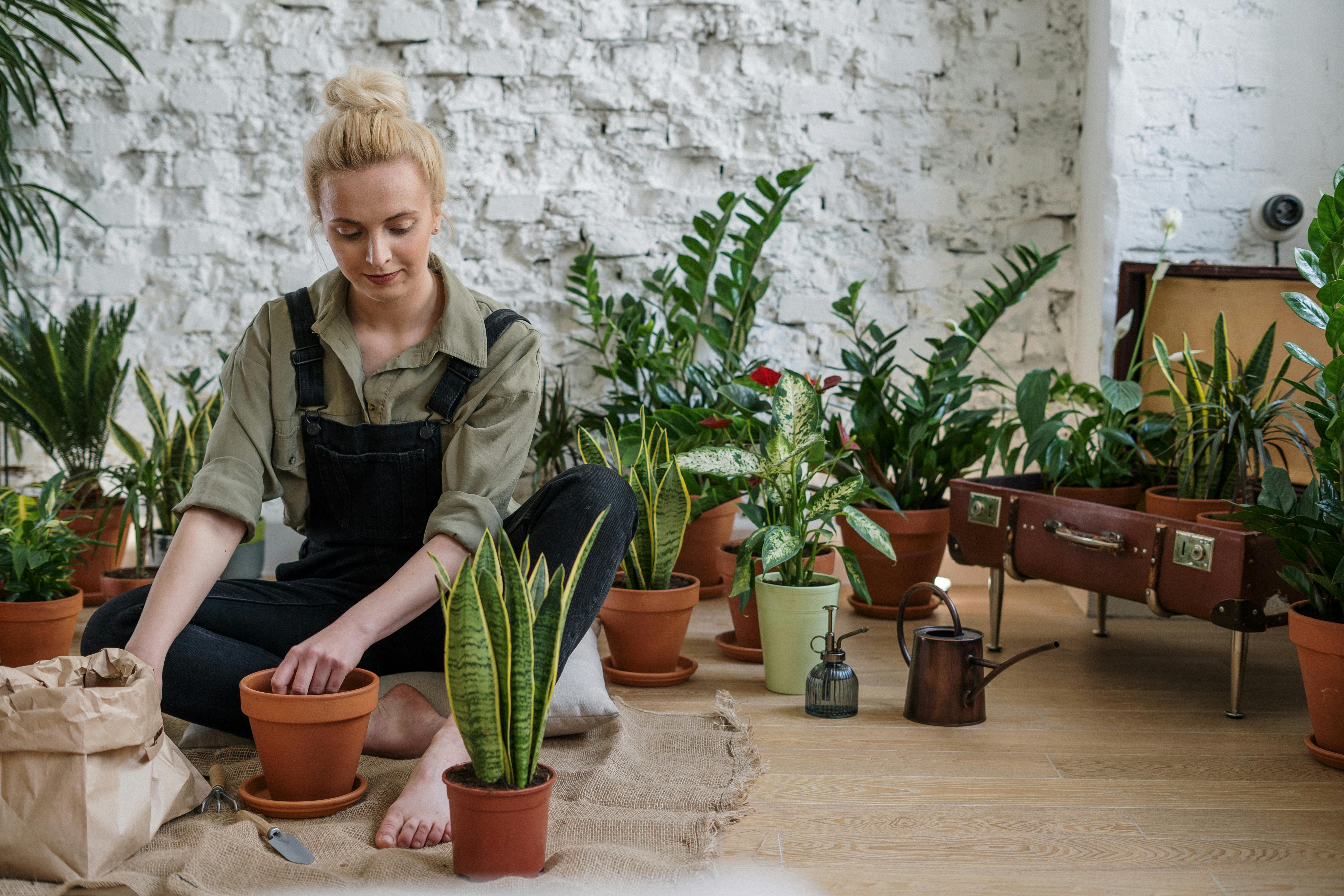 Urban Gardening